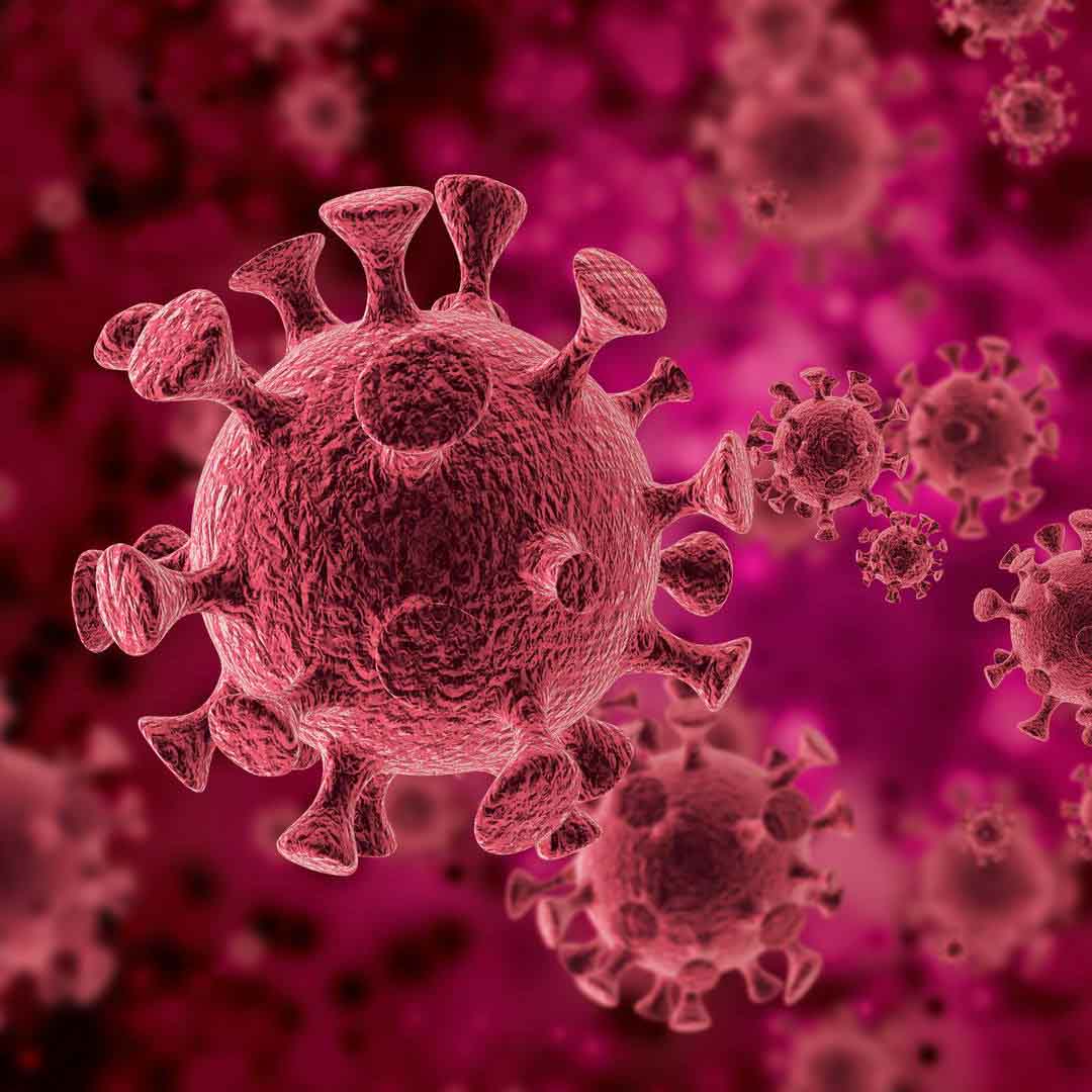 Covid affecte le monde, comment les entreprises de Shenzhen peuvent-elles rechercher des opportunités commerciales mondiales ?